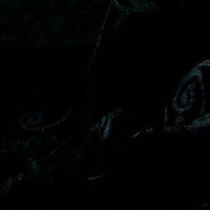 Meet your Posher, Connie